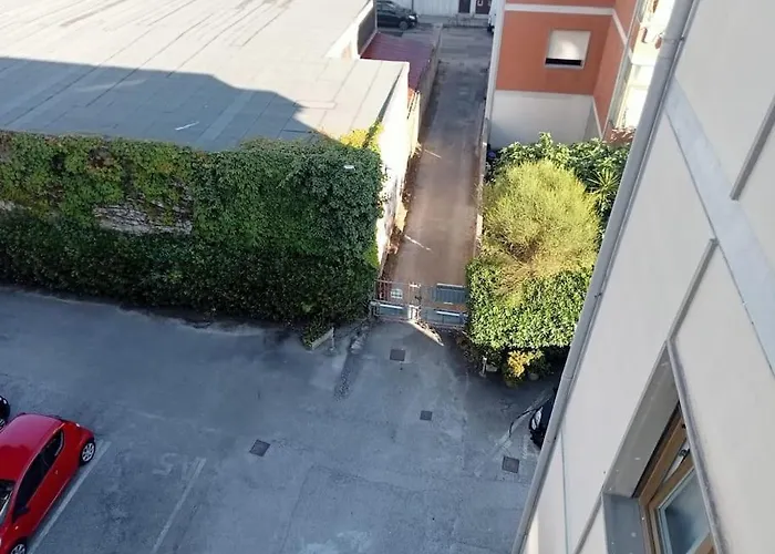 Arturo - * 维亚雷焦